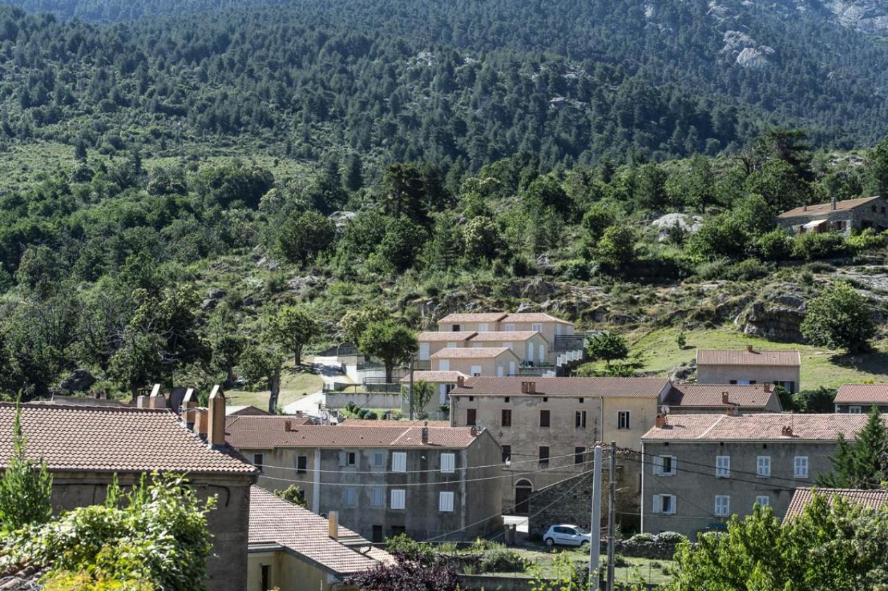 Вилла Terrasse De Malbeccu Casamaccioli Экстерьер фото